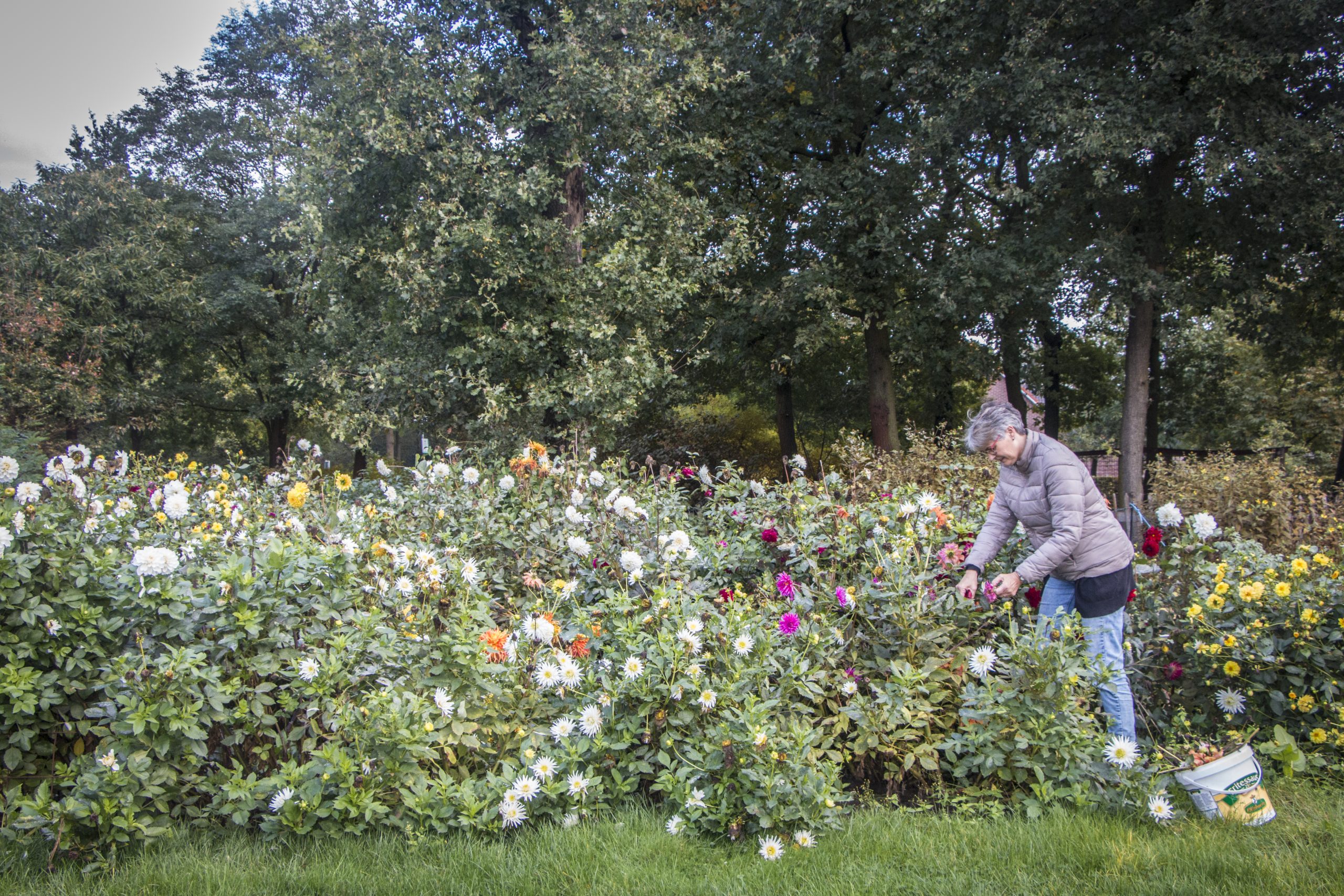 Wat groen doet voor je mentale gezondheid