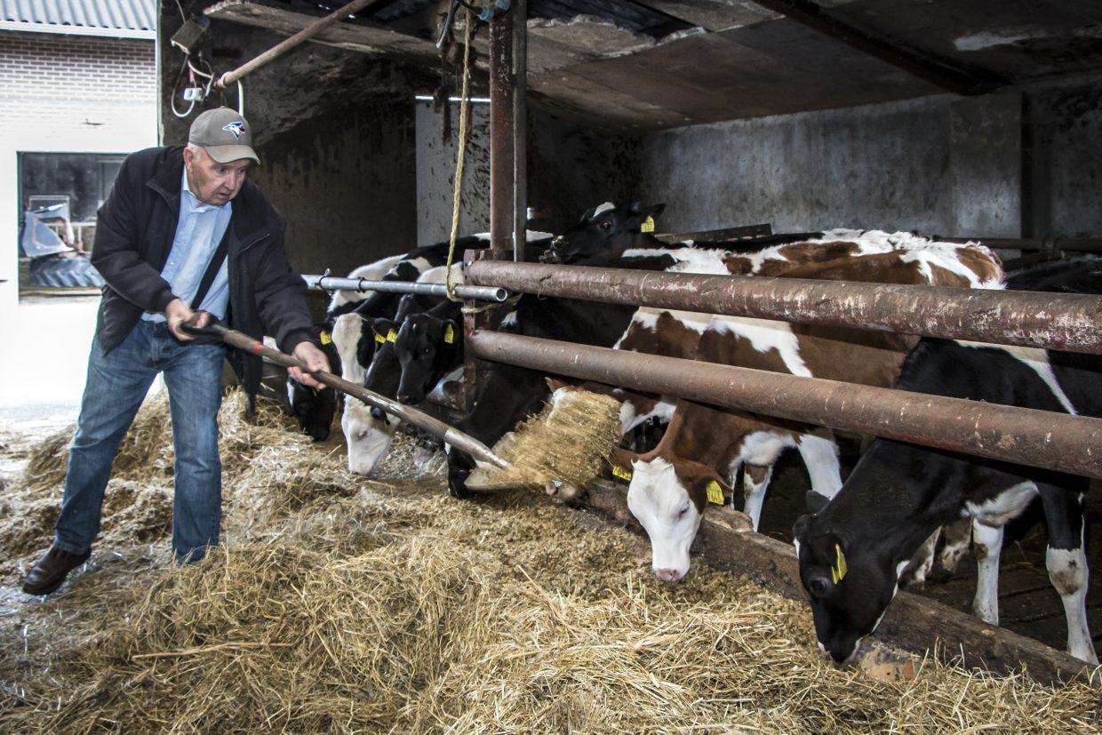 “Kennis delen en netwerken, dat kunnen ze hier goed”